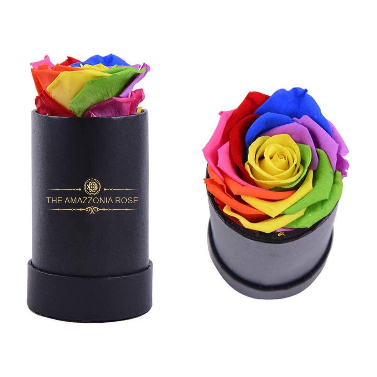 Rosa stabilizzata lunga durata cofanetto d'amore - Arcobaleno