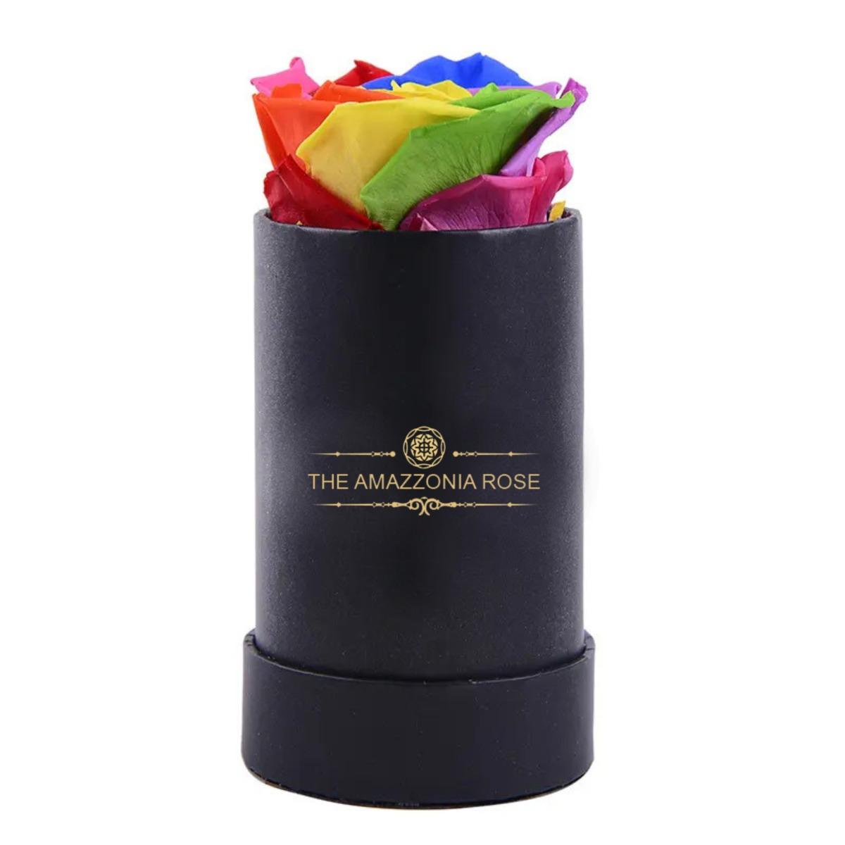 Rosa stabilizzata lunga durata cofanetto d'amore - Arcobaleno